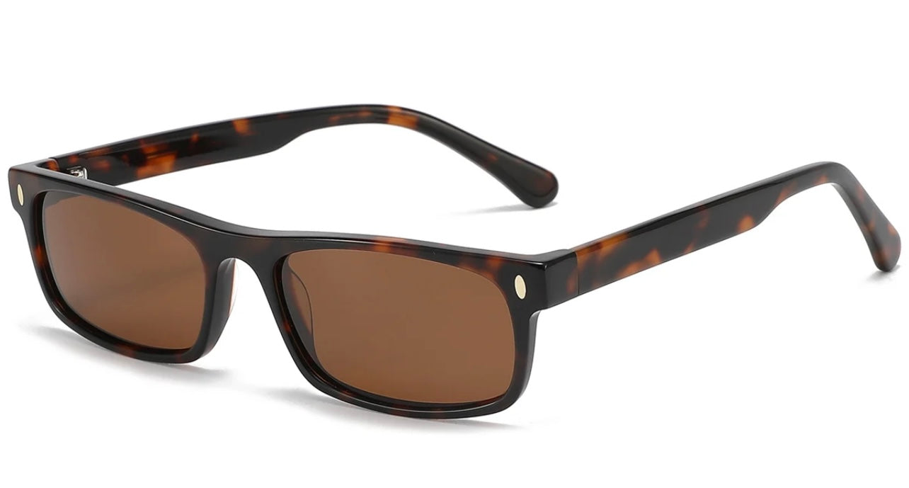 BEBE (Fashion Sunglasses)